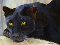 Black Cat by Jamie Frier