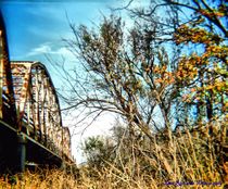 Old Bridge von Dan Richards