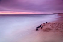 Monterey Beach Sunset von Chris Frost