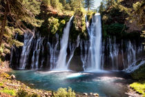McArthur-Burney Falls Memorial State Park by Chris Frost