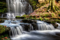 Scaleber Force Falls by Chris Frost