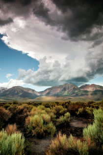 Storms at Mono Lake by Chris Frost