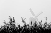 Windmill on Zaanse Schans von Pieter Tel