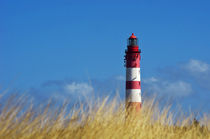 Der Leuchtturm (Insel Amrum) von AD DESIGN Photo + PhotoArt