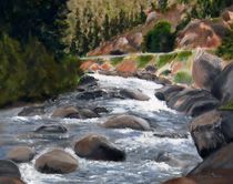 Colorado Rapids by Jamie Frier