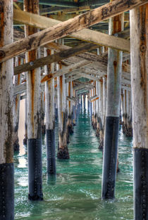 Under The Dock by agrofilms