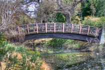 UC Davis Arboretum Bridge by agrofilms