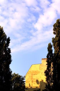 old wall with shadows, trees and sky - alte Hauswand mit Schatten, Bäumen und Himmel by mateart