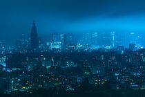 Tokyo 21 by Tom Uhlenberg