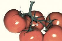 Tomato by fotolos