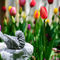 A-bird-and-a-tulip-org