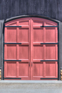 A Great Door by agrofilms