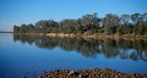 American River Shore by agrofilms