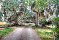Avery Island Road by agrofilms