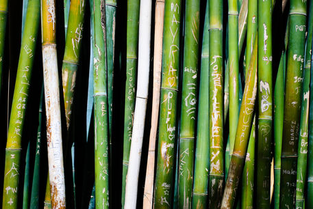 Bamboo-carvings-org