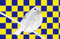 Besser der Spatz an der Wand als die Taube auf dem Dach blau/gelb - A bird on the wall is worth two in the bush blue/yellow von mateart