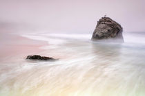 Garrapata Beach Fog by Chris Frost