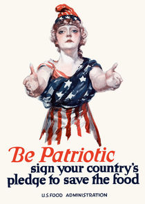 Be Patriotic sign your country's pledge to save the food -- U.S. Food Administration by warishellstore