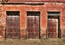 Barn Doors by agrofilms