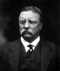 Teddy Roosevelt by warishellstore