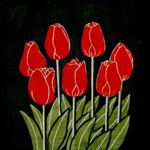 Tulpen by Dieter Tautz