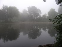 Nebel im Park by Detlef Georgi
