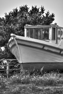 Boat Out Of The Water by agrofilms