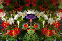 Flowers Reflect von Robert Gipson