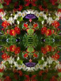 Flowers reflect double von Robert Gipson
