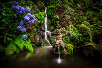 Monte Palace Gardens, Madeira by Zoltan Duray