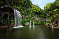 Beautiful waterfall at Monte Palace Tropical Garden by Zoltan Duray