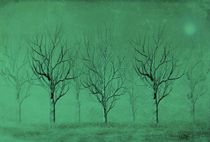 Winter Trees In The Mist by David Dehner
