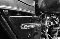Triumph Bonneville 750 by aengus