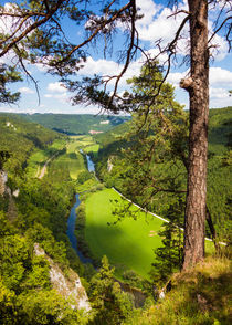 Naturpark Obere Donau - faszinierendes Donautal von Matthias Hauser
