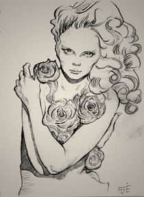 La Rose - The Rose Sketch by Alfredo  Saavedra