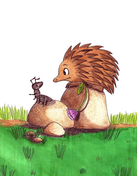 Ant-and-echidna