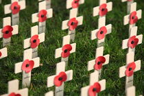 remembrance by mark severn