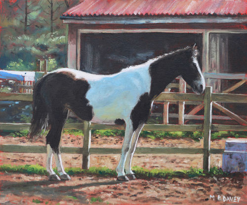 Painting-brown-and-white-horse-by-stable