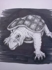 Turtle by Richie Montgomery