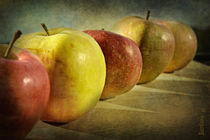 Still life - Apples by barbara orenya