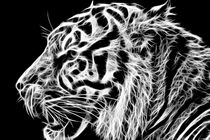 Tiger Art by Sam Smith
