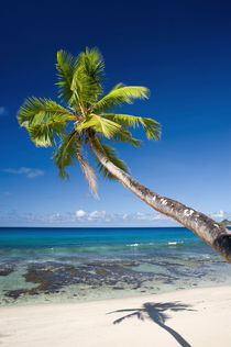 Paradise beach, Seychelles von Nicklas Wijkmark