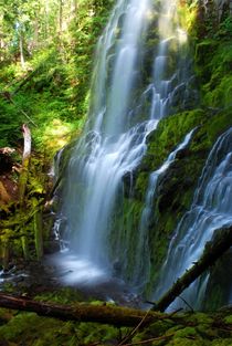 Wasserfall - Proxy Falls von usaexplorer