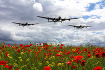 Lancaster Remembrance by James Biggadike