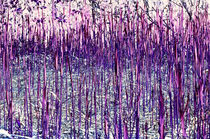 Farbspiel violett by lisa-glueck