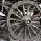 Raw-chariot-wheel