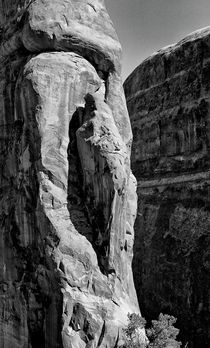 Madonna in the Rock by Ken Dvorak