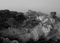 Point Lobos #1 by Ken Dvorak