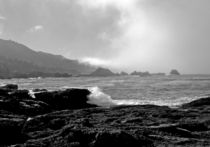 Point Lobos #4 von Ken Dvorak