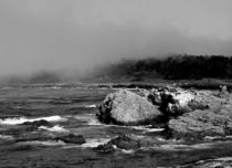 Point Lobos #5 by Ken Dvorak